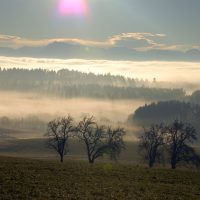 Landschaft_Nebel_Dezember_2006-4