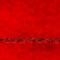 Wäscheleine_5630_2007